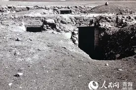 「筑梦海西 乘帆远航」戈壁变绿洲 农场是家园 致敬农垦人图片