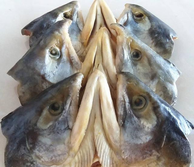 花胶鳄鱼肉炖瘦肉有什么功效 2026年花胶鳄鱼肉炖瘦肉有什么功效