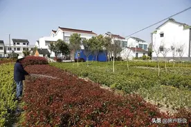 农村有房的注意，新规实施，2021年起宅基地统统“地随房走”图片