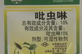 吡虫啉这样用，能治蓟马蚜虫，还能防地下虫，用对时间，一季无虫图片