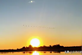 新疆深秋伊犁河边脑海总会浮现，落霞与孤鹜齐飞，秋水共长天一色图片
