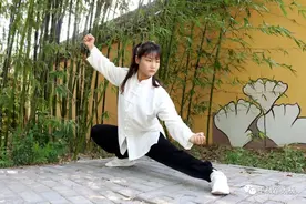太极拳抖劲的练法图片