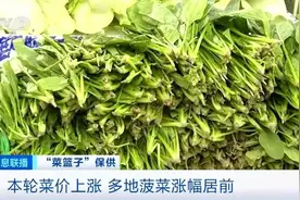 蔬菜模范生来“洗白”，别再误会它了图片
