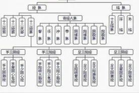 中医基础理论——经络图片