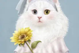 猫咪头像｜人间杀器小奶猫图片