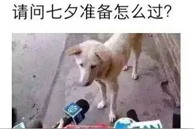 在这长达一年的漫漫异地恋过程中，牛郎和织女可以聊微信，视频通话吗？图片