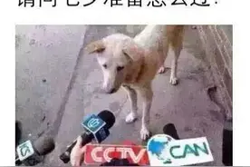 在这长达一年的漫漫异地恋过程中，牛郎和织女可以聊微信，视频通话吗？图片