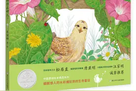 “2020中国绘本展”绘本亲子故事会精品推荐：《妈妈你在哪？》《妈呀！老虎来了！》《肉包子和铁包子》图片