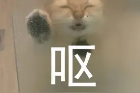 马桶每天溢出大量粪便！客厅和卧室都遭殃，上海这户人家被熏到精神恍惚……图片