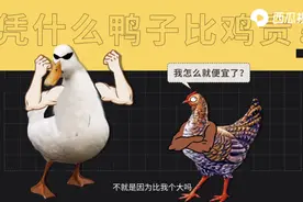 “鸡方代表”提出抗议：凭什么鸭卖得比鸡贵？西瓜视频一探究竟图片
