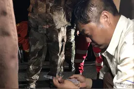 杭州第三只出逃豹子行踪被发现：合围中逃脱，今继续搜寻图片