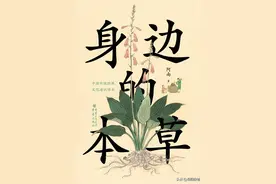 身边的本草：带你领略本草的人文之美图片