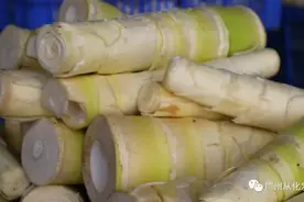 甜到你心里头~广州从化甜竹笋上市啦！图片