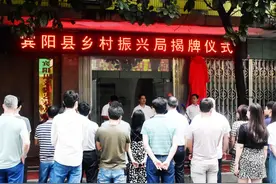 宾阳县乡村振兴局挂牌成立图片