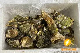 当场吐了！福州李女士9.9元网购生蚝，里面长满虫子？图片