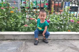 爱花的小萌娃，一看到花就被迷住了，有同款男宝宝么？图片