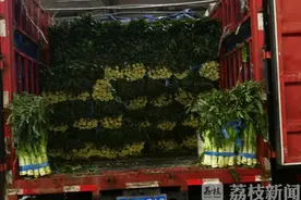 记者探访：一棵蔬菜从田间到餐桌需要经过几道“关卡”？图片