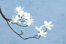 这些诗词里，藏着你最想要的生活！图片