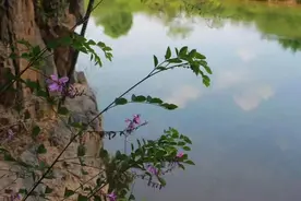 生如夏花之黎英图片
