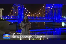 元气夏日 打卡五彩斑斓的“夜”图片