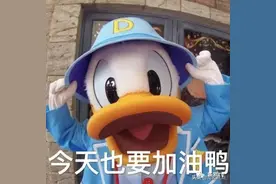 一大波鸭苗来袭，可爱萌物成为苏坂镇脱贫攻坚“吉祥物”图片
