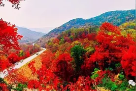 吉林省 十大 秋季旅游景点图片