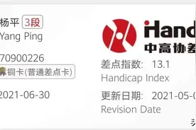 差点指数的性质和作用：科学衡量个人打球潜力图片