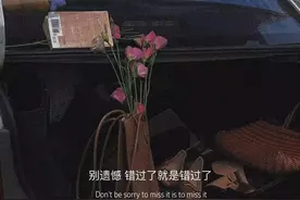 南墙撞了，故事也该结束了图片