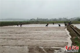 我们村里的年轻人丨衡阳常宁人黄勇：机械“一条龙”实现“田园梦”图片
