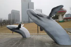 连云港海边地标“鲸鱼、海豚雕塑”有何喻意图片