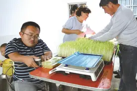 青山铺镇“90后”青年身残志坚  直播卖豆芽走上致富路图片