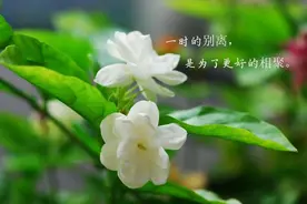 如果一个男人时常对你如此，那就是你最幸福的爱情图片