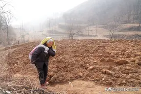 带个小包袱跟男人进山68年，85岁还要背木材，看她活成啥样图片