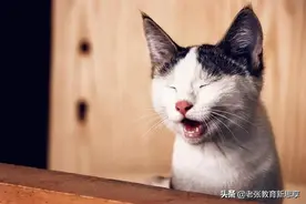 脸皮厚一点，那你就赢了图片