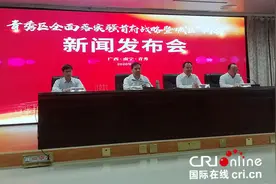 南宁青秀区：再造一个“工业青秀”为全面落实强首府战略提供强大产业支撑图片