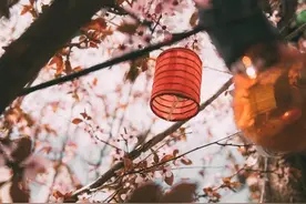 金皮彩挂——十三路金簧图片