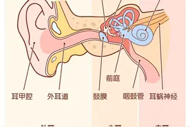 神奇掏耳方法，耳垢，碾压出酥脆感图片