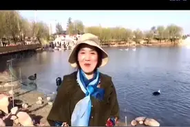 【全域旅游看广平】—广平县旅发宣传片图片