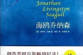 《海鸥乔纳森》：乔纳森英雄之旅，个人心智成长3阶段的完美印证图片