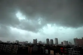 雨中的回忆图片