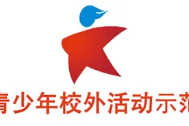 可爱的猫咪空中炫舞。简单的DIY玩具，孩子超喜欢！图片