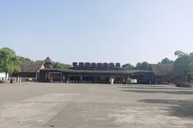 直击“搜豹”现场：300余人拉网搜索第三只金钱豹，曾有游客在景区停车场看到第三只踪迹图片