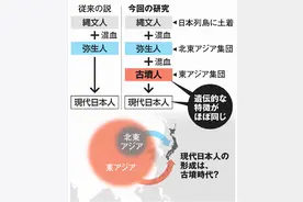 古DNA研究显示：中国汉族或是现代日本人祖先，日网友称难以接受图片