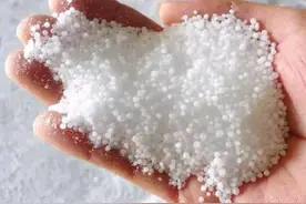 撒尿素后立即浇水？原来这么多年你都做错了图片