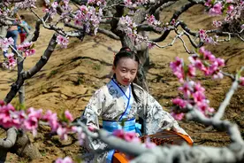 邂逅鱼城桃花源，从此开始诗和远方图片