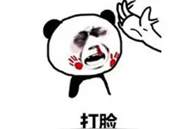孙一峰被打脸？国产AI只用10%实力打爆职业选手，赢了还嘲讽人类图片