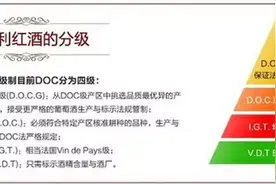 AOC、DOC、VDP我认识，然而“VCE”是什么？图片