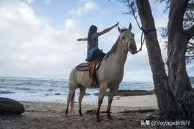 夏威夷的欧胡岛是”动森“的真实写照，桃花源式的惬意生活图片