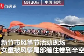 太惊险！3岁女童被风筝缠卷飞上半空，现场尖叫连连图片