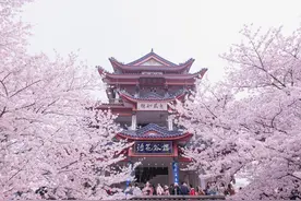 我是一个成了精的馒头，“小姨对我可好了，我想吃了你”图片